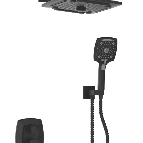 American multifunctional concealed shower head (JY-1009)