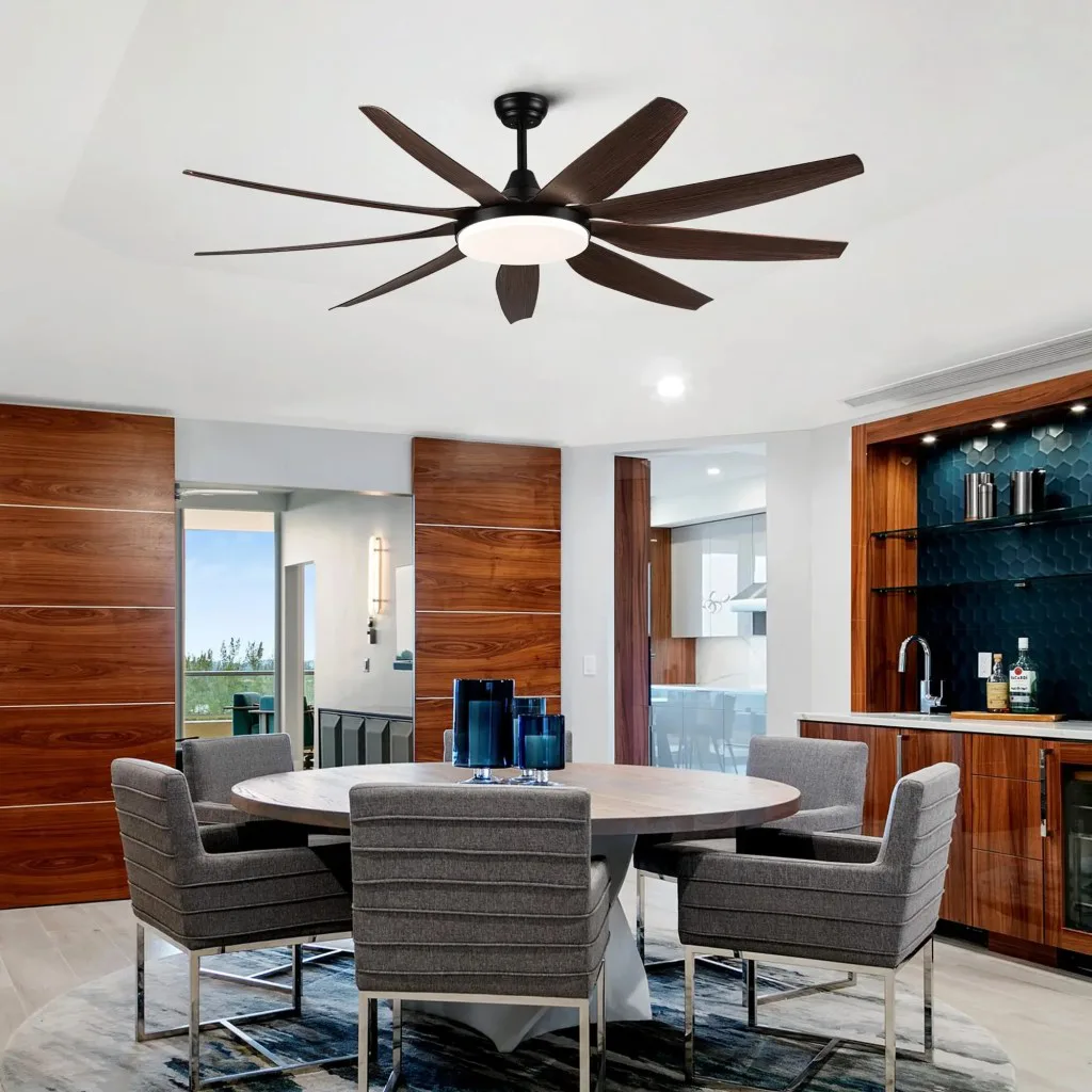 Ceiling Fans